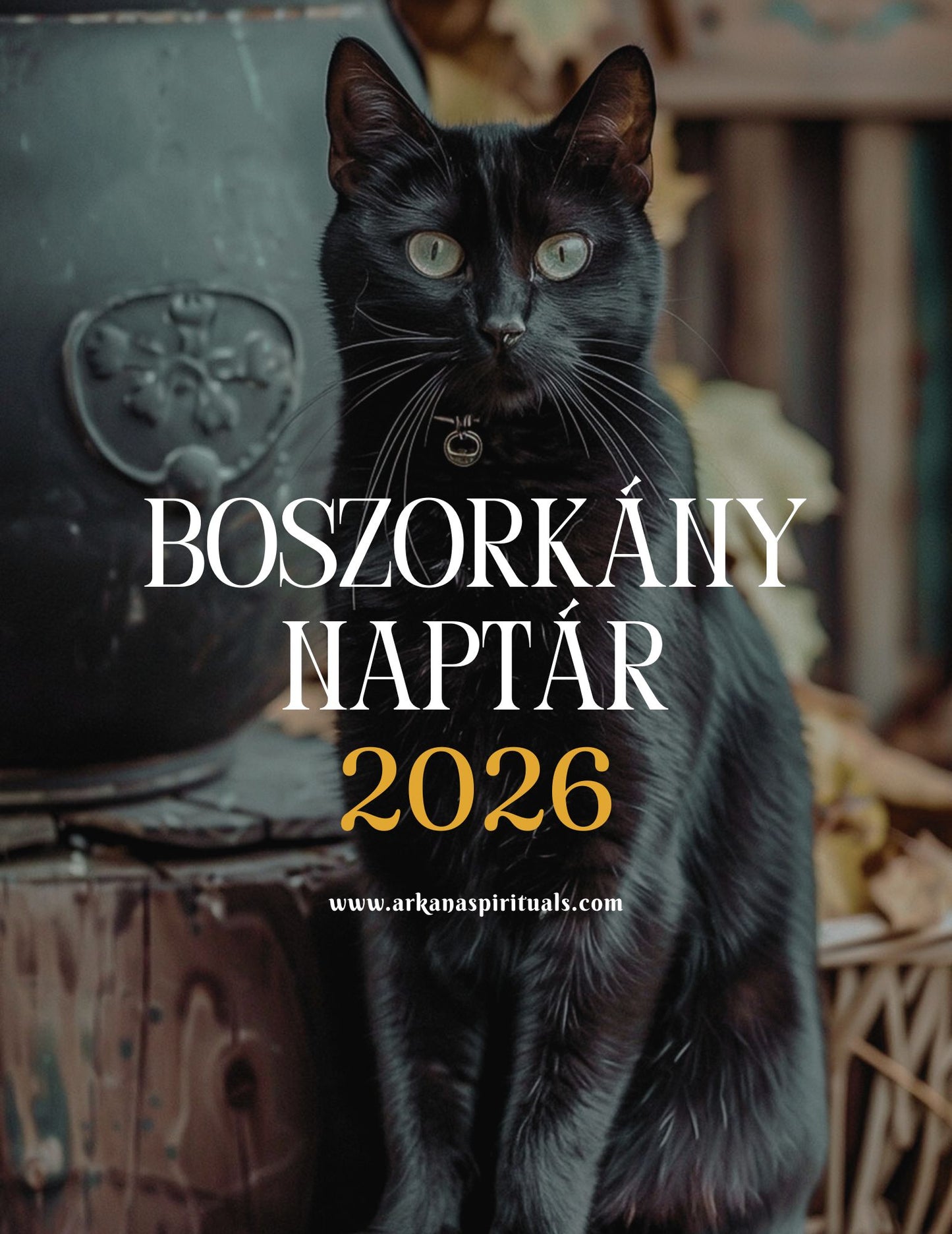 Boszorkány Napló / Tervező 2026 fűzött