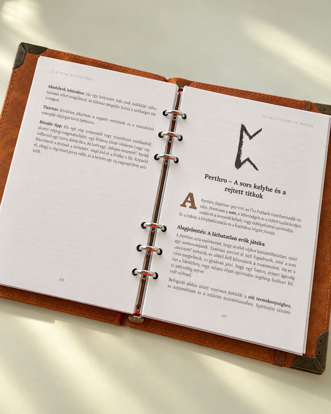 Das Flüstern der Runen – Ursprung der Geheimnisse E-Book