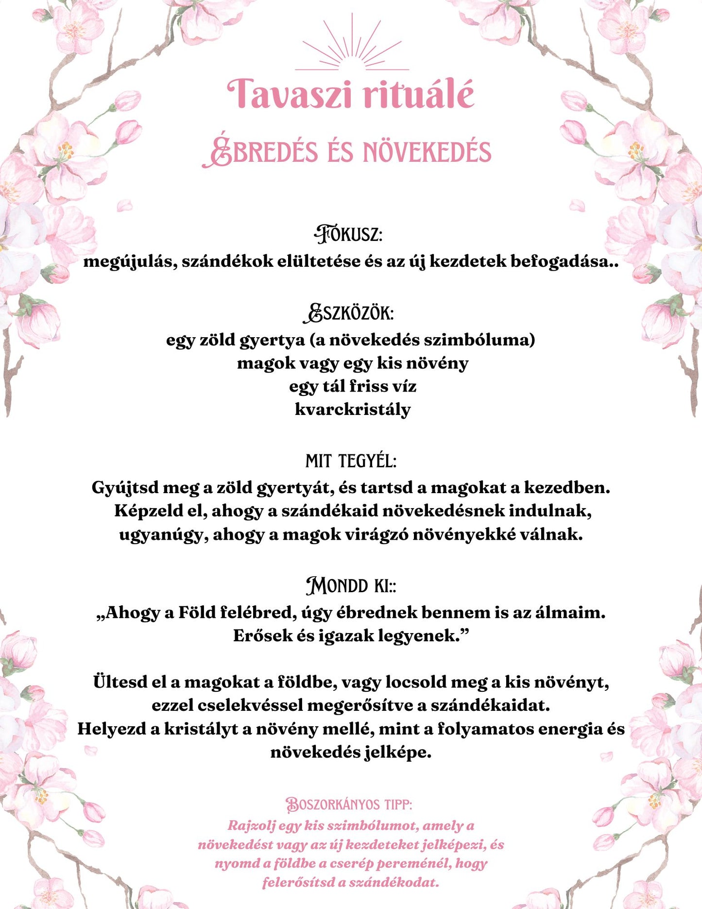 Boszorkány Napló / Tervező 2026 EBOOK