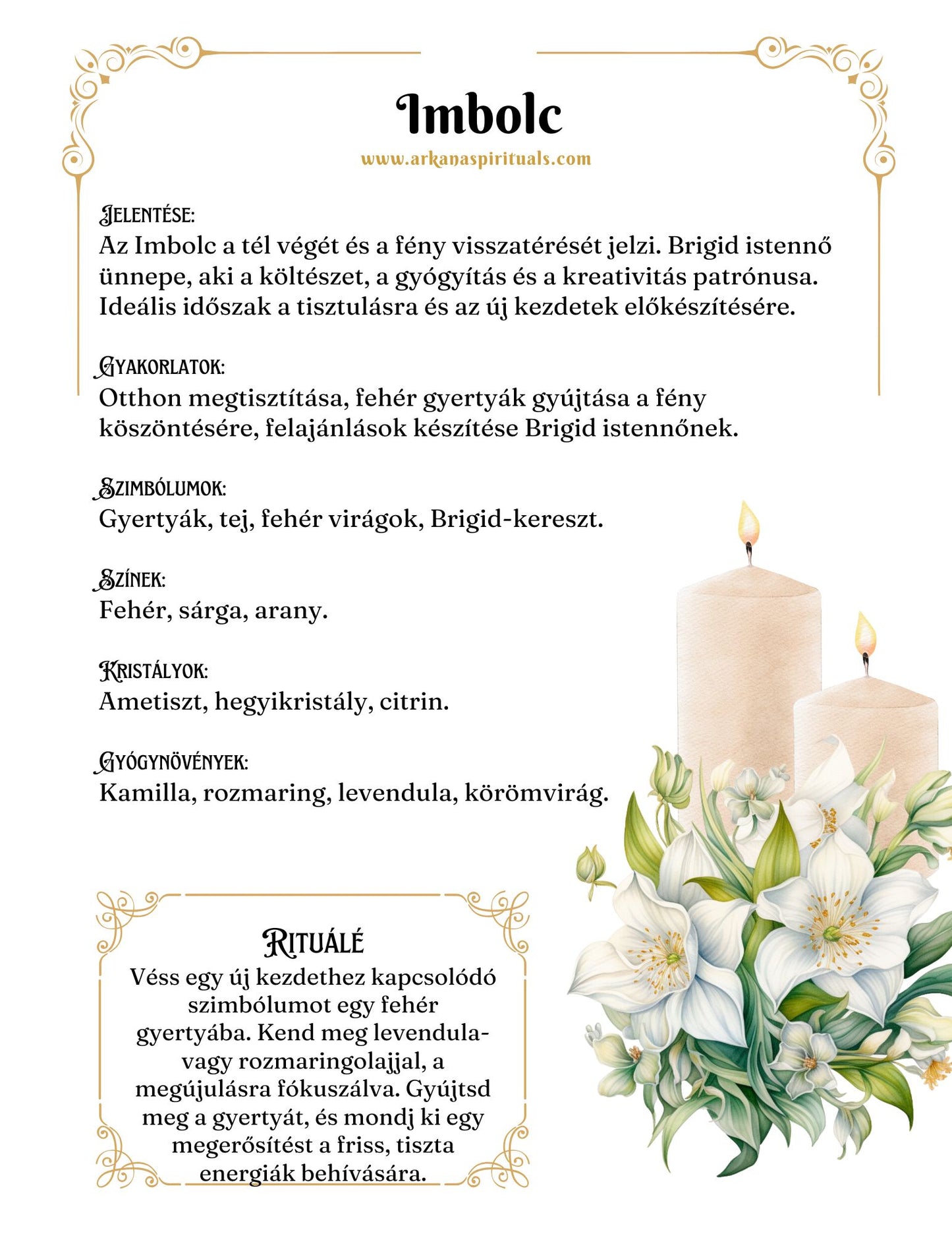 Boszorkány Napló / Tervező 2026 EBOOK