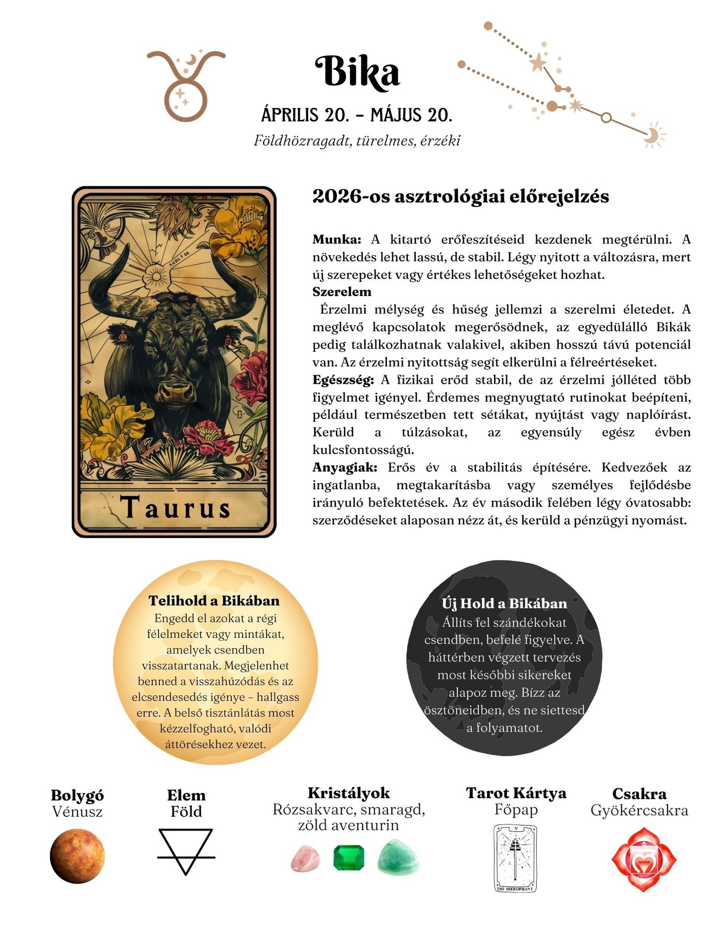 Boszorkány Napló / Tervező 2026 EBOOK